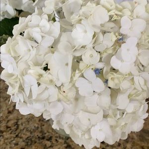 Meet your Posher, Tatyana